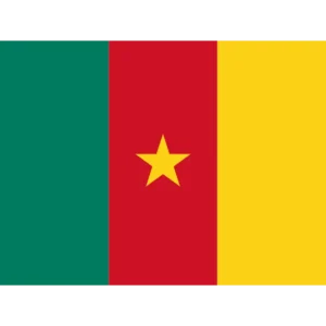 Équipes nationales Cameroun