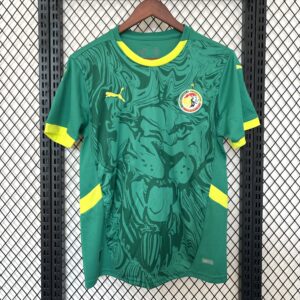 Sénégal Maillot Exterieur 25/26
