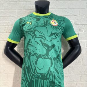 Maillot Senegal Exterieur 25/26 - Version PLayer