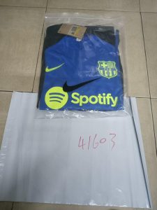 IMG 20250617 WA0040 225x300