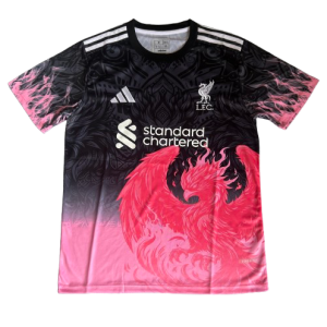 Maillot liverpool fc Concept 25/26