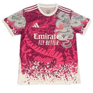 Maillot Real Madrid Concept 25/26