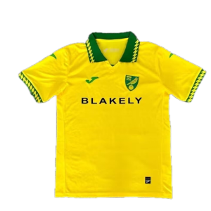 Norwich City Maillot Domicile 25/26