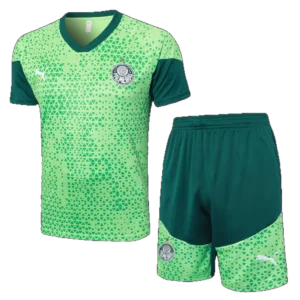 Maillots Palmeiras Training & Concept