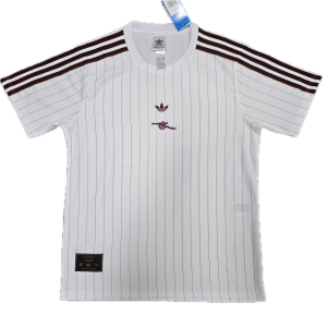 Arsenal FC Maillot Terrace Icons 25/26