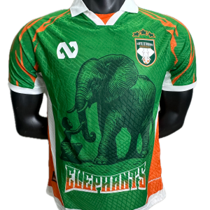 Cote d'ivoire Maillot concept 25/26