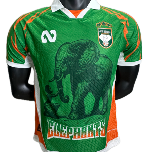 Cote d'ivoire Maillot concept 25/26