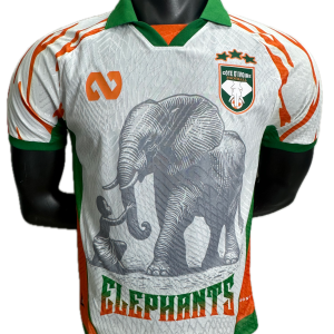Cote d'ivoire Maillot concept 25/26