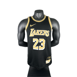 Los Angeles Lakers Maillot NBA Special 23/24