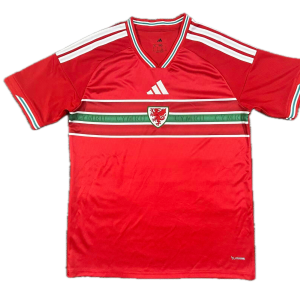 Pays de galles Maillot Domicile 26/27