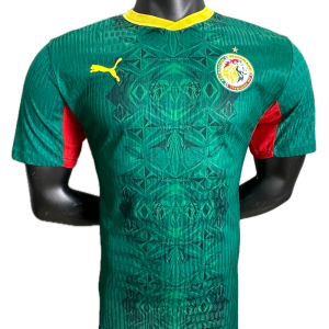 Sénegal Maillot Domicile 26/27 - Version Player