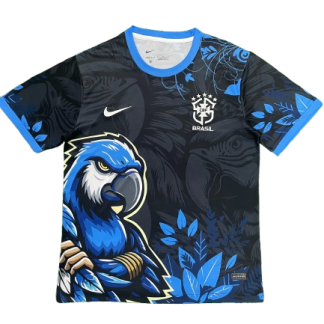 Brésil Maillot Concept 25/26