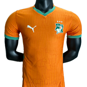 Cote d'Ivoire Maillot Domicile 25/26 - Version Player