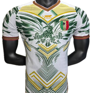 Mali Maillot Concept 25/26- Version Player