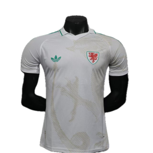 Pays de Galles Maillot Exterieur 26/27 - Version Player