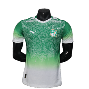 Cote d'ivoire Maillot Spécial 26/27 - Version player