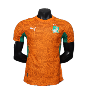 Cote d'ivoire Maillot Domicile 26/27 - Version player