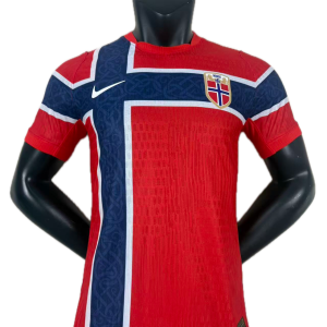 Norvege Maillot Domicile 26/27 - Version Player