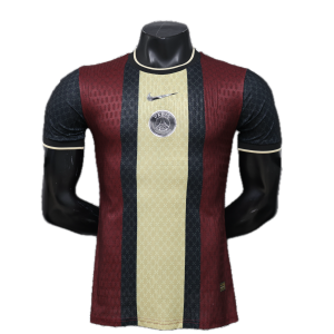 Paris Saint Germain Maillot Concept 25/26