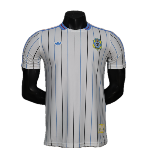 République Démocratique du Congo Maillot Terrace Icons 26/27 - Version Player