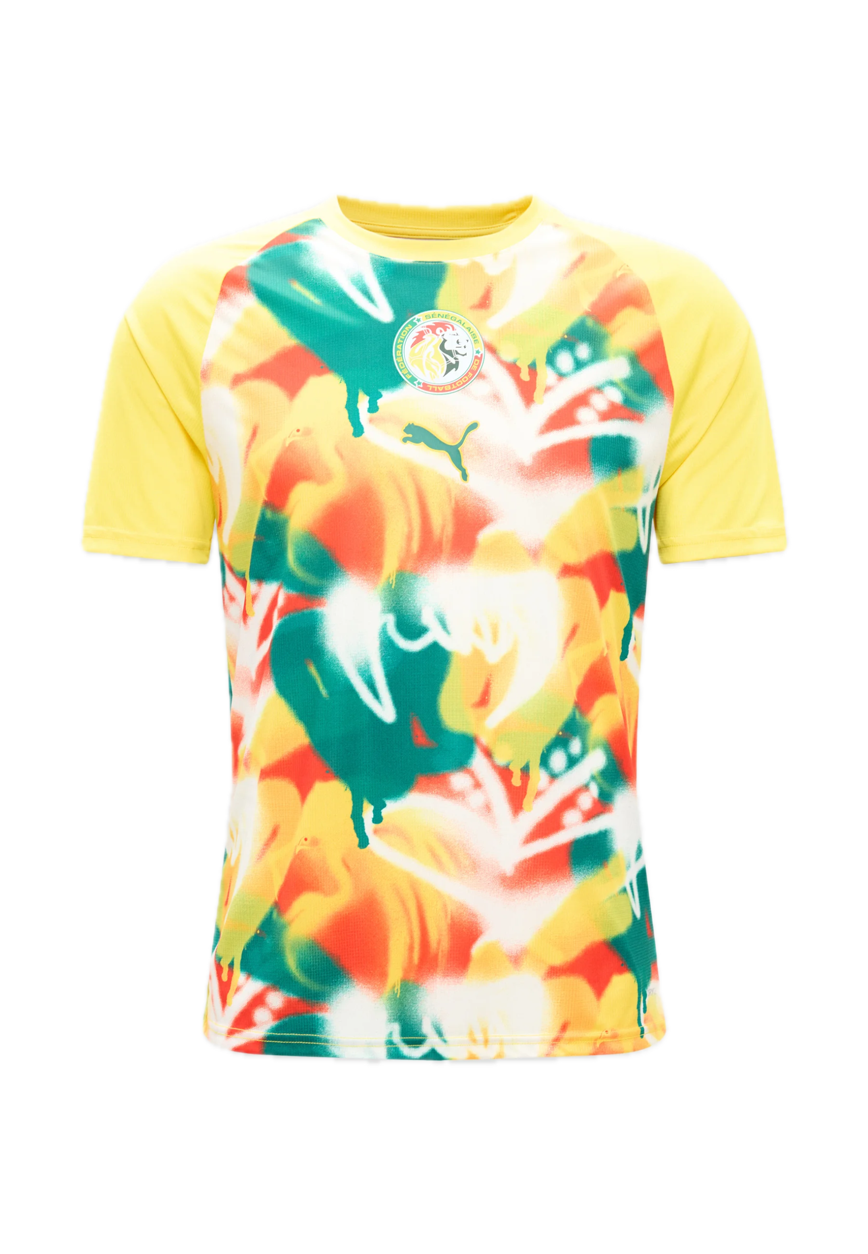 Maillots Sénégal Training & Concept