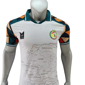 Sénégal Maillot Concept 26/27 - Version Player