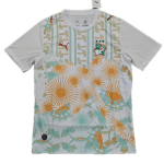 Côte D’ivoire Maillot Domicile 26/27